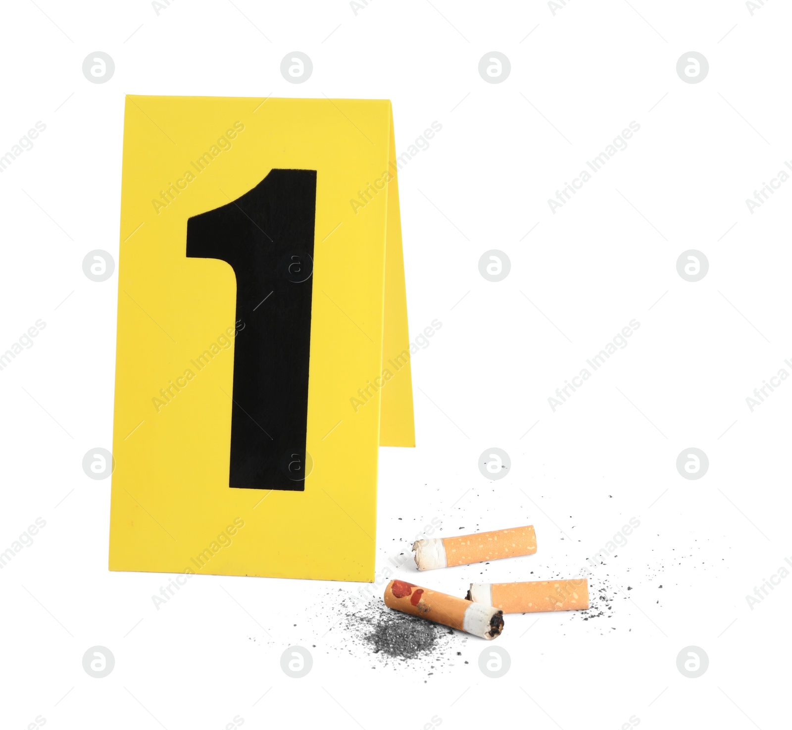 Photo of Cigarette stubs and crime scene marker with number one isolated on white