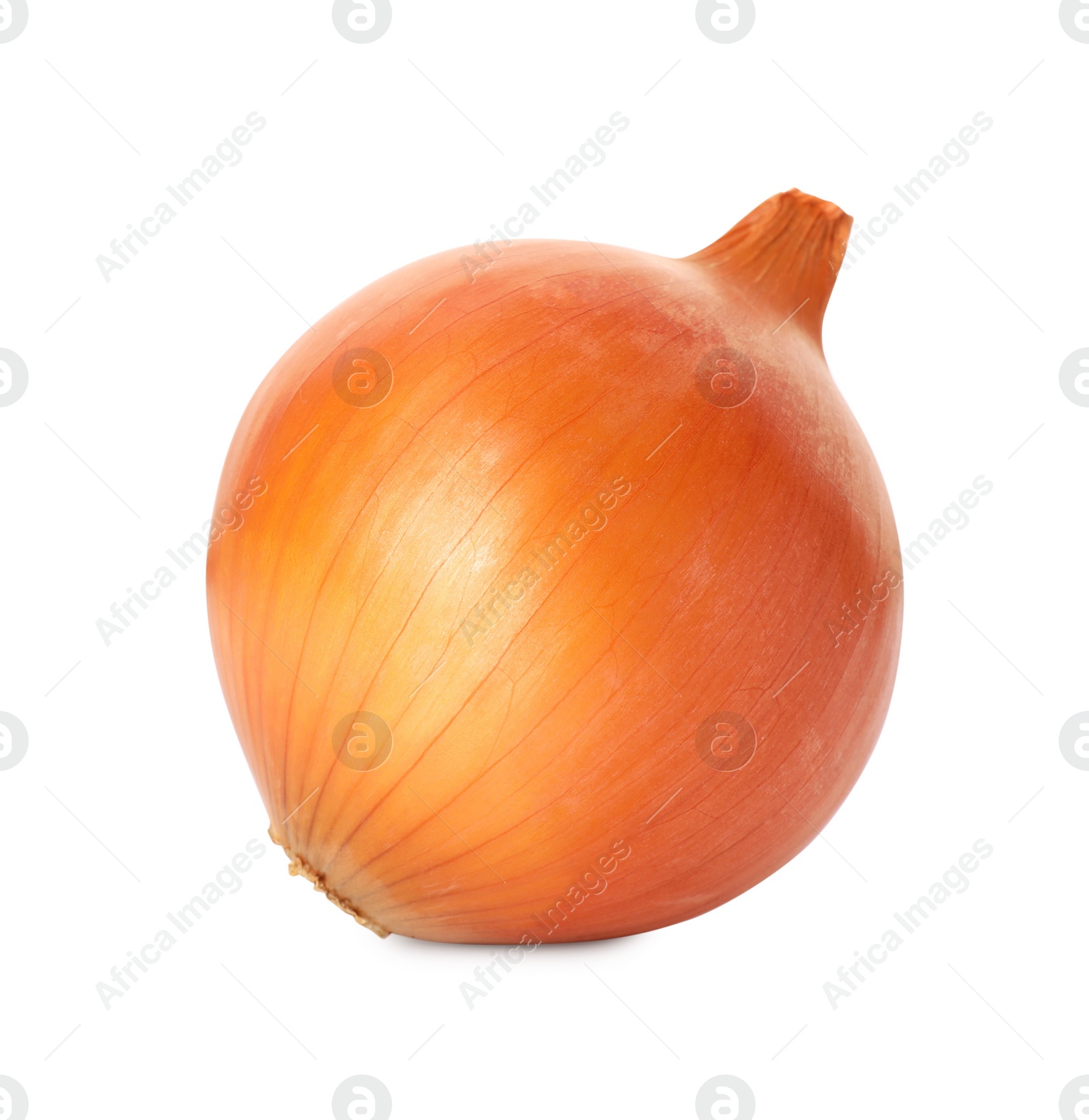 Photo of One fresh unpeeled onion isolated on white