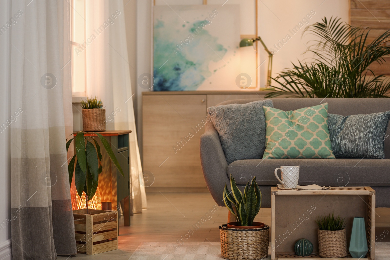 Photo of Living room interior with green houseplants and sofa