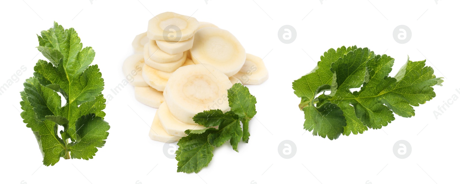 Image of Set with cut parsnip and leaves on white background