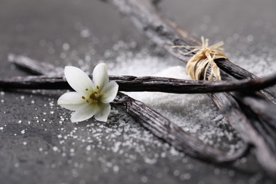 Photo of Vanilla pods, sugar and flower on gray table, closeup