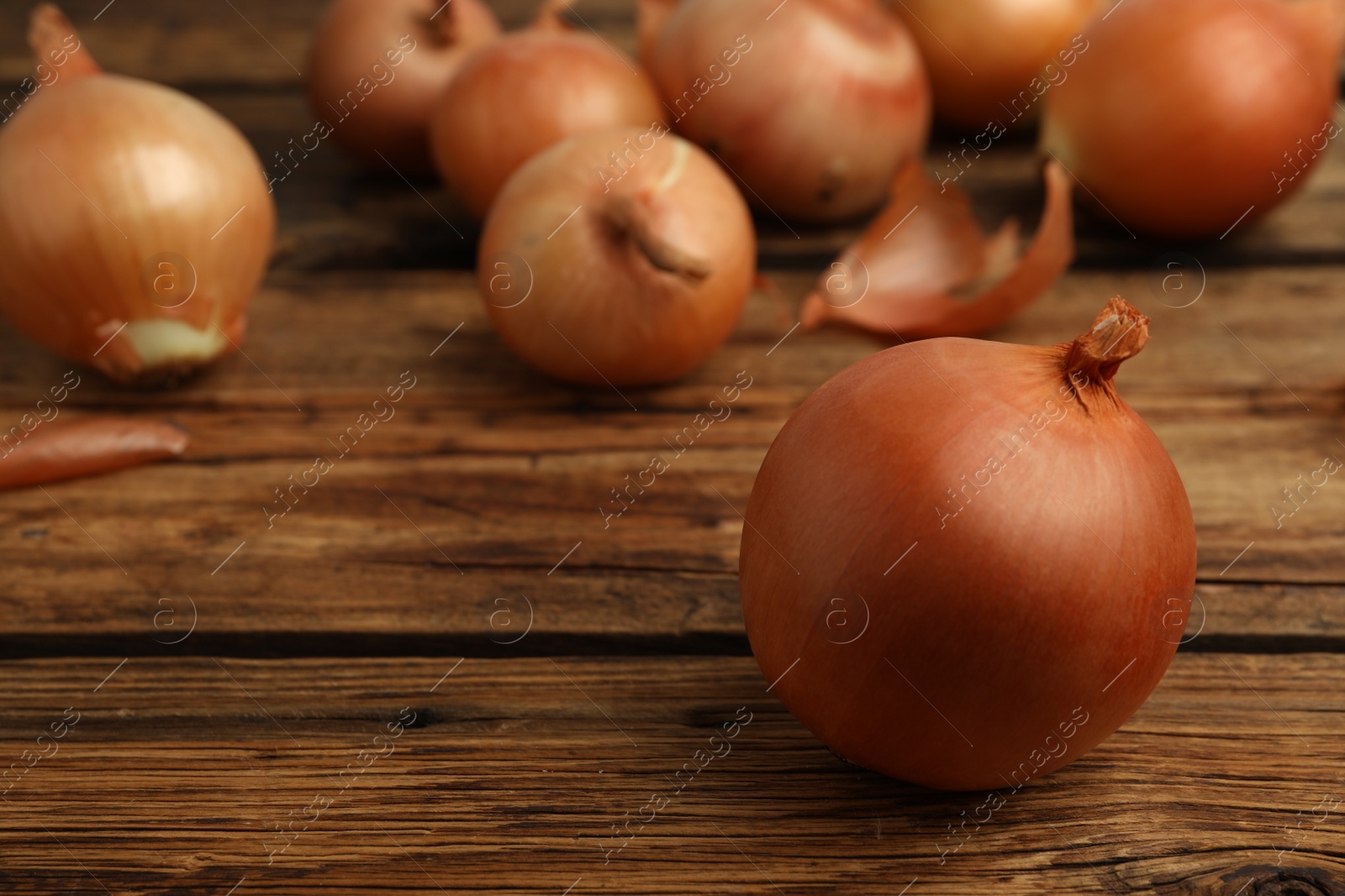 Photo of Ripe onion bulbs on wooden table. Space for text