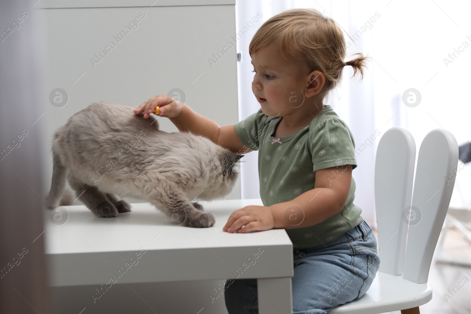 Photo of Cute little child with adorable pet at white table in room