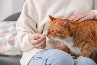 Photo of Woman giving vitamin pill to cute cat on sofa indoors, closeup