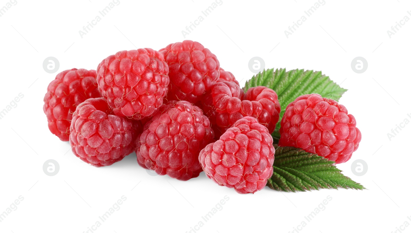 Photo of Many fresh ripe raspberries and green leaves isolated on white