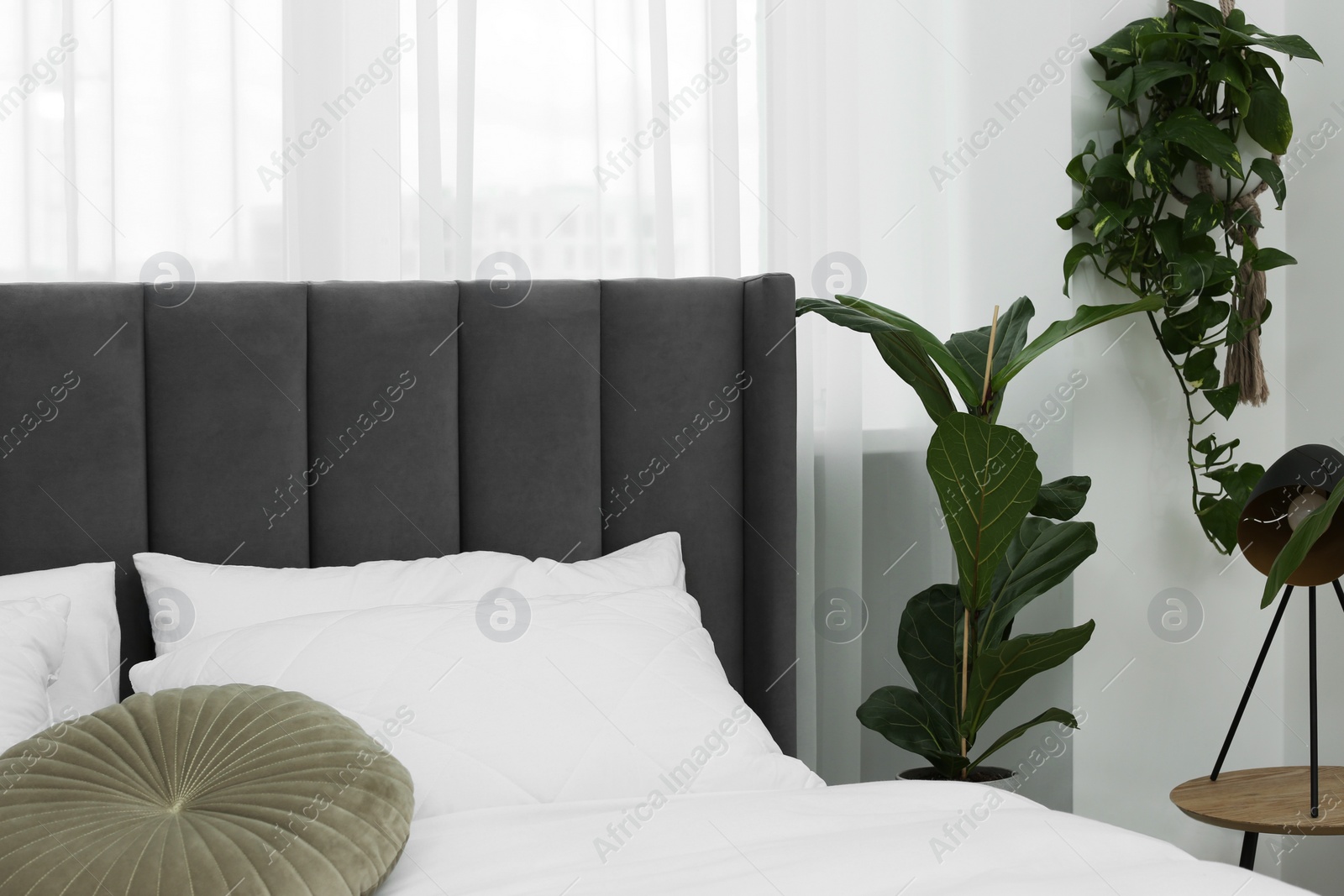 Photo of Large comfortable bed and beautiful houseplants in room. Bedroom interior