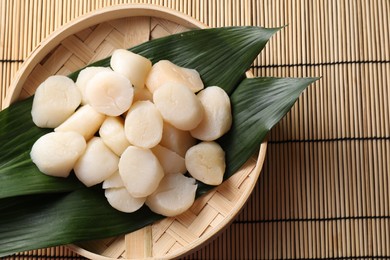 Fresh raw scallops in bowl on bamboo mat, top view. Space for text