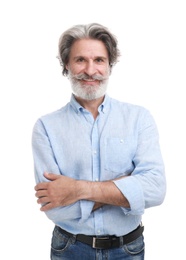 Portrait of handsome mature man on white background