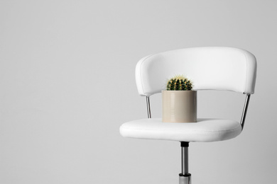 Photo of Chair with cactus isolated on white. Hemorrhoids concept