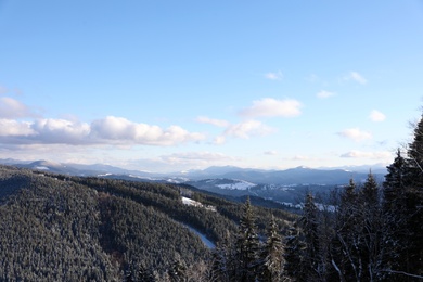 Photo of Beautiful mountain landscape with forest on sunny day in winter