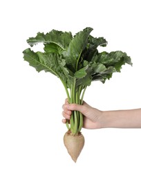 Woman holding sugar beet on white background, closeup