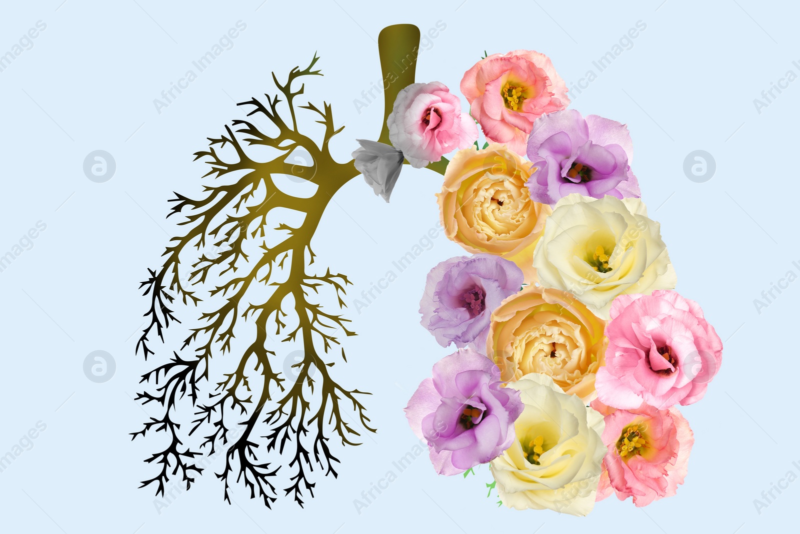 Illustration of  human lungs - one part with image of dry tree branches, another with fresh flowers on light background. Healthy and unhealthy lifestyle concept