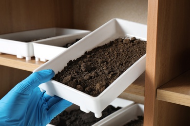 Photo of Scientist taking container with soil sample for agriculture analysis in laboratory, closeup