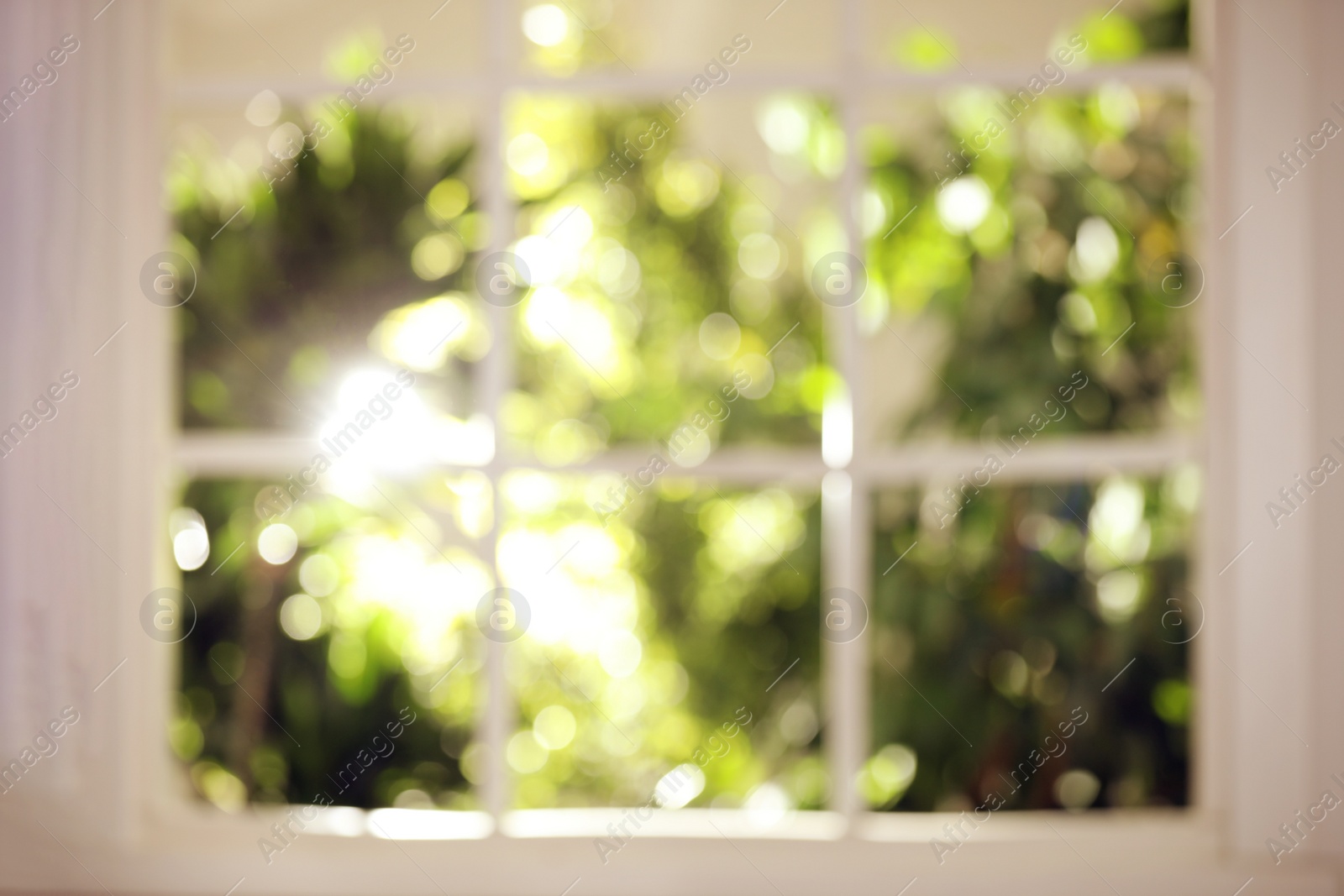 Photo of Blurred view through window on garden in morning