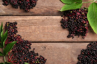 Photo of Tasty elderberries (Sambucus) on wooden table, flat lay. Space for text
