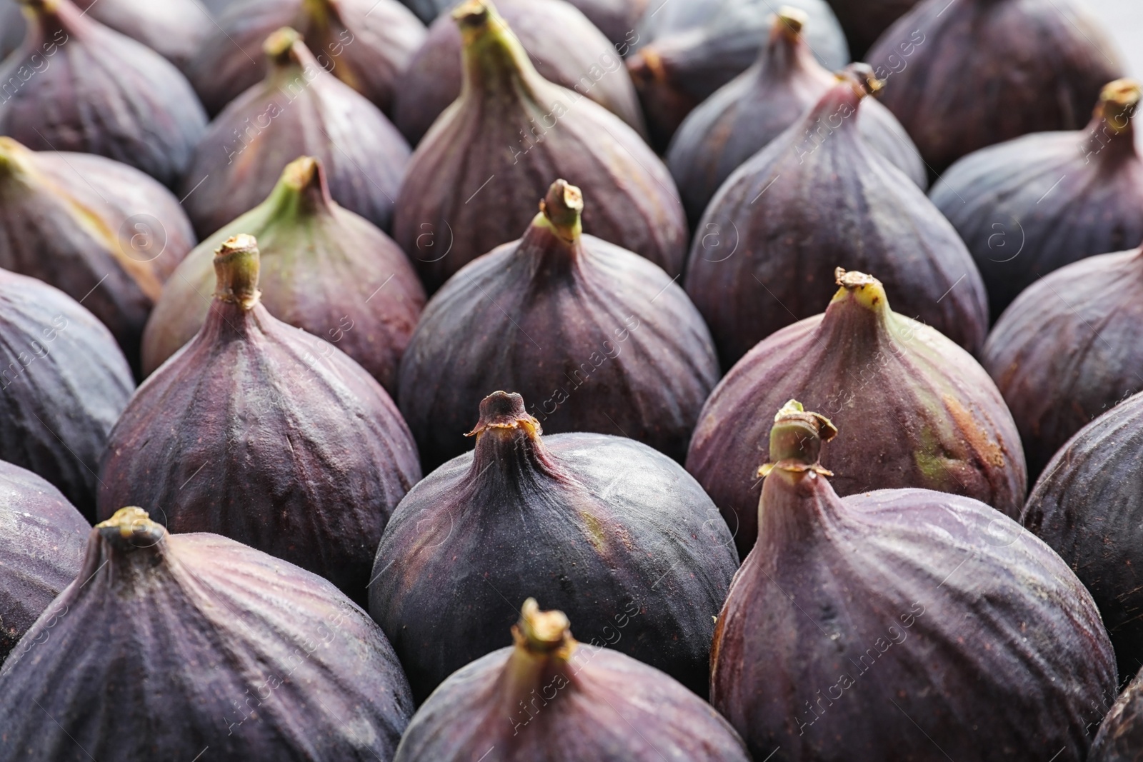 Photo of Many whole fresh purple figs as background, closeup