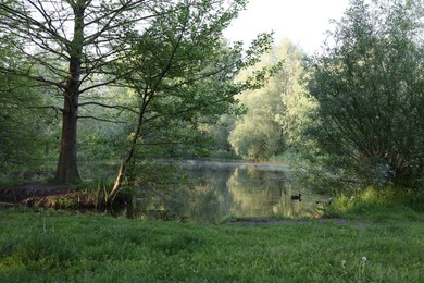Photo of Picturesque view of green park with pond outdoors