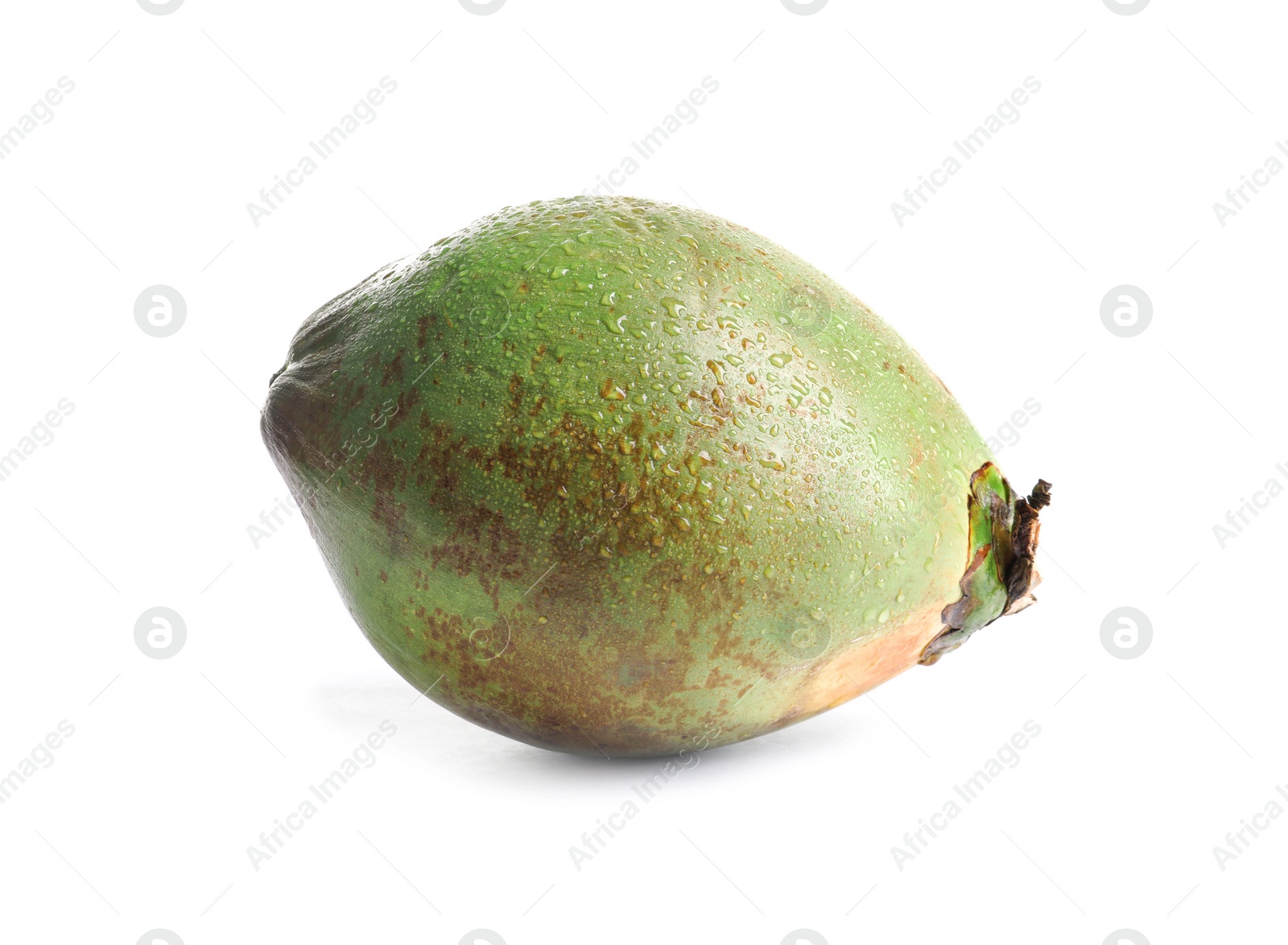 Photo of Fresh green coconut on white background