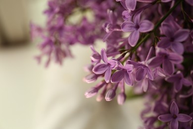 Beautiful lilac flowers on blurred background, closeup. Space for text