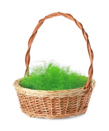 Easter wicker basket with decorated grass isolated on white