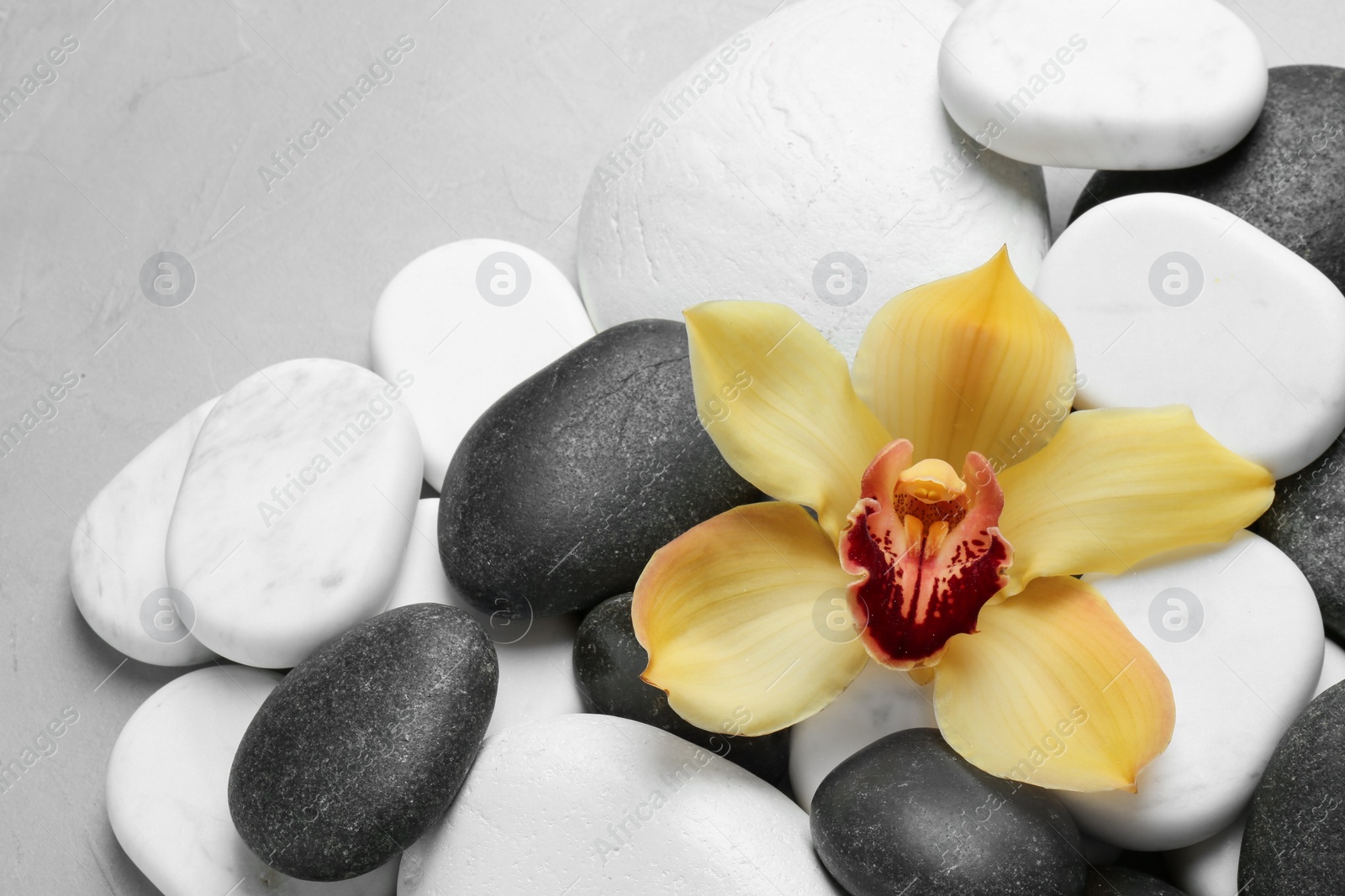 Photo of Beautiful orchid flower among different spa stones on table, top view. Space for text