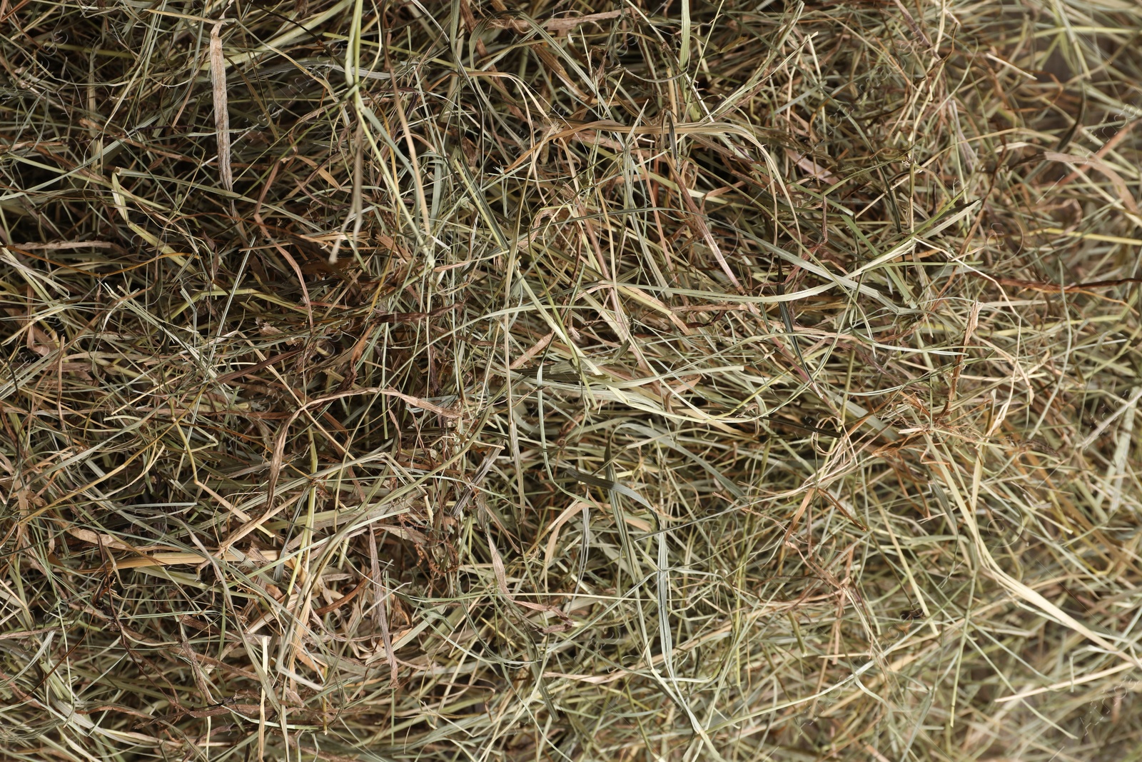 Photo of Pile of dried hay as background, top view