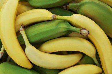 Different sorts of bananas as background, closeup