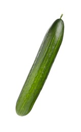 One long fresh cucumber isolated on white