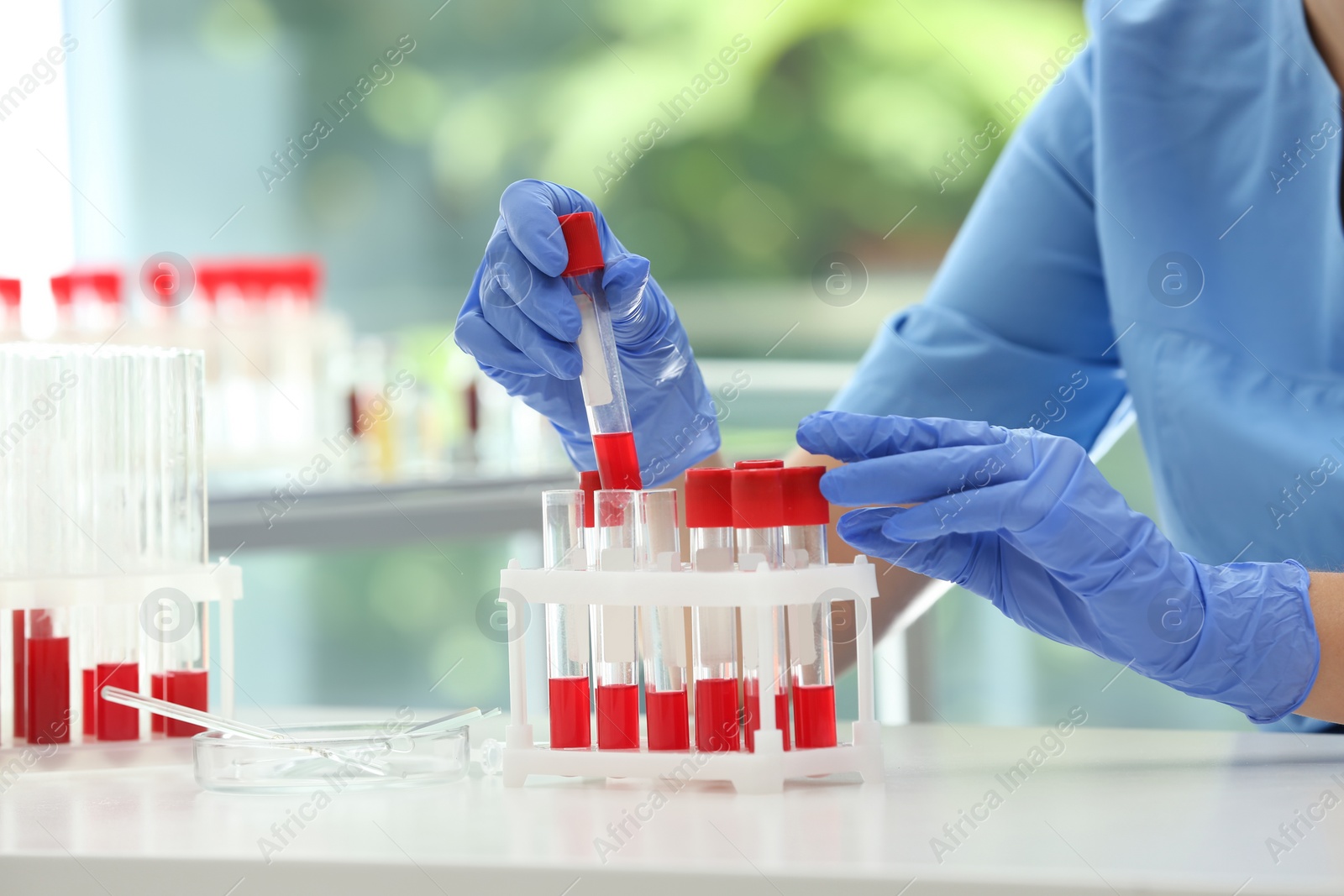 Photo of Scientist holding test tube with blood sample at table in laboratory