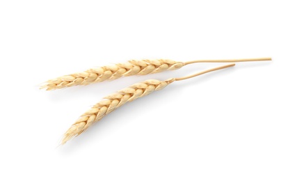 Photo of Spikelets on white background. Healthy grains and cereals