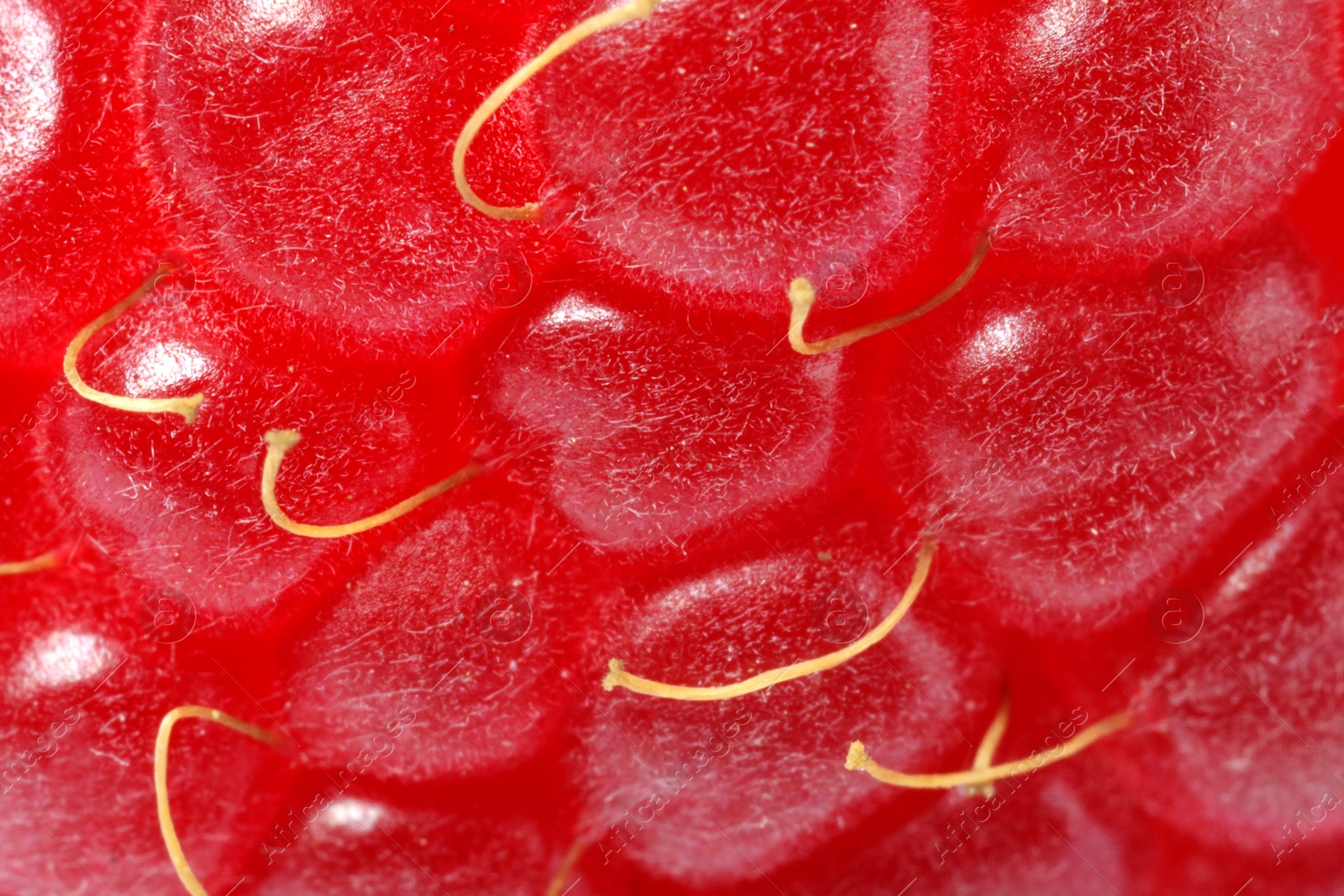 Photo of Texture of ripe raspberry as background, macro view. Fresh berry