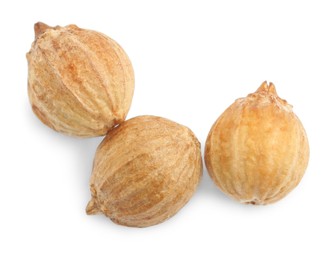 Photo of Three dried coriander seeds on white background, top view