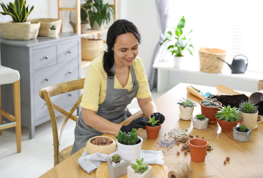 Mature woman potting succulent plant at home. Engaging hobby