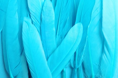 Photo of Many beautiful light blue feathers as background, top view