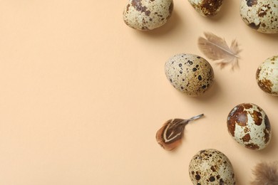 Photo of Speckled quail eggs and bird feathers on beige background, flat lay. Space for text