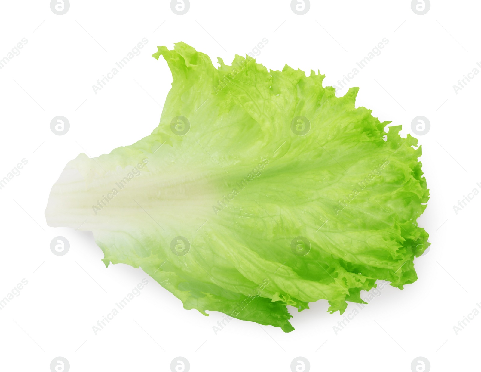 Photo of Leaf of fresh lettuce isolated on white, top view. Salad greens