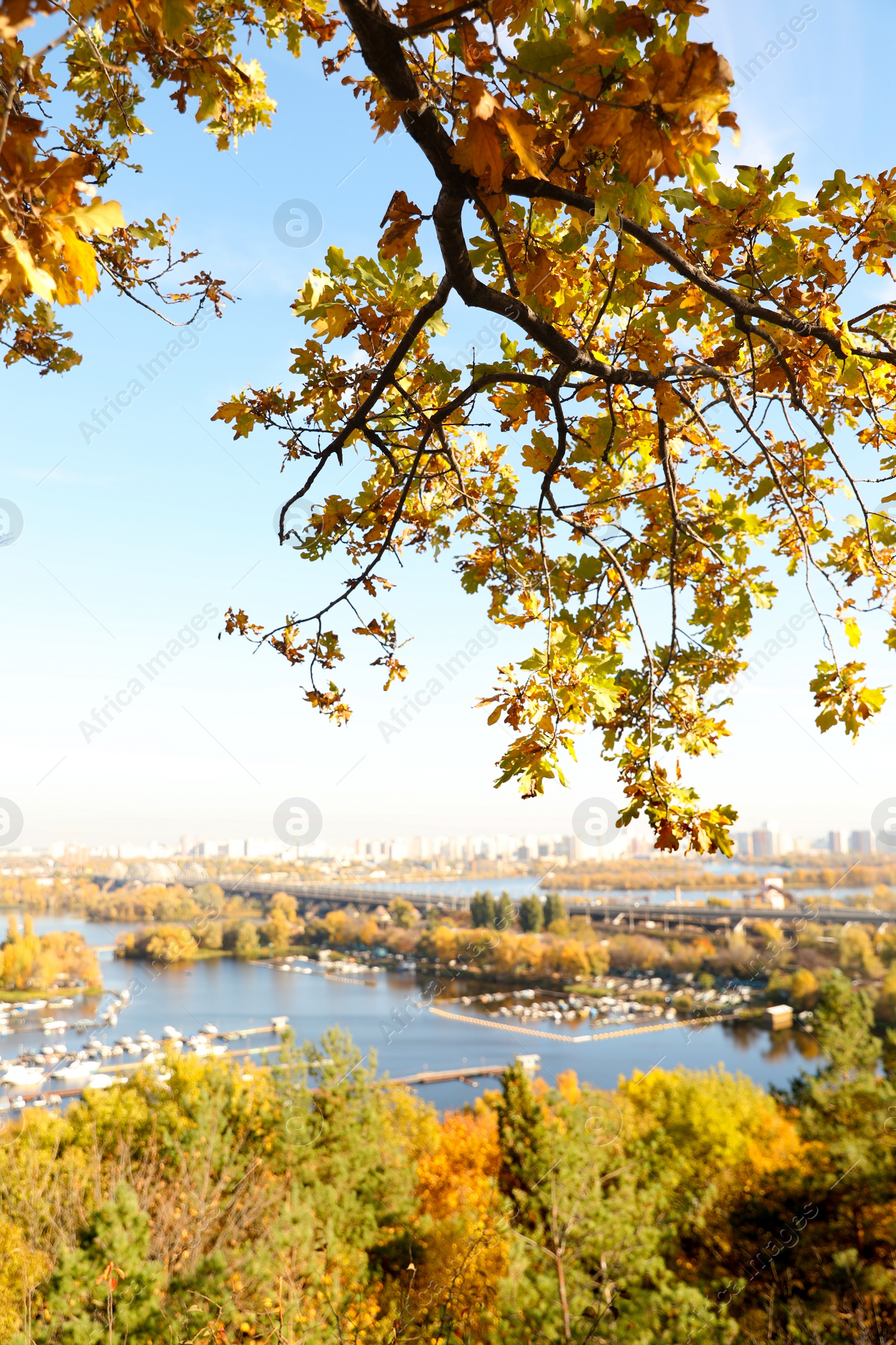 Photo of Picturesque view of river and trees with bright leaves. Autumn season