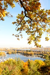 Picturesque view of river and trees with bright leaves. Autumn season