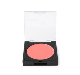 Cream lipstick palette refill isolated on white. Professional cosmetic product