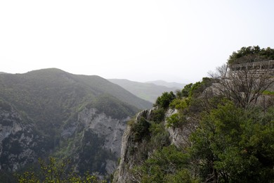 Picturesque view of green forest in mountains