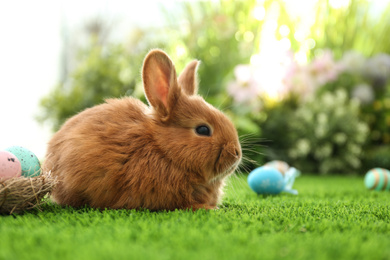 Adorable fluffy bunny and Easter eggs on green grass