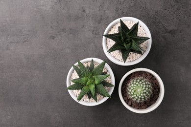Photo of Different succulent plants in pots on grey table, flat lay. Space for text