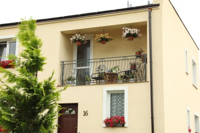 Photo of Stylish balcony decorated with beautiful potted flowers and chairs