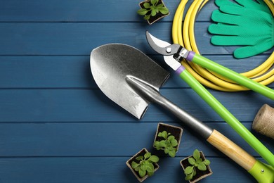 Flat lay composition with gardening tools and green plants on blue wooden background, space for text