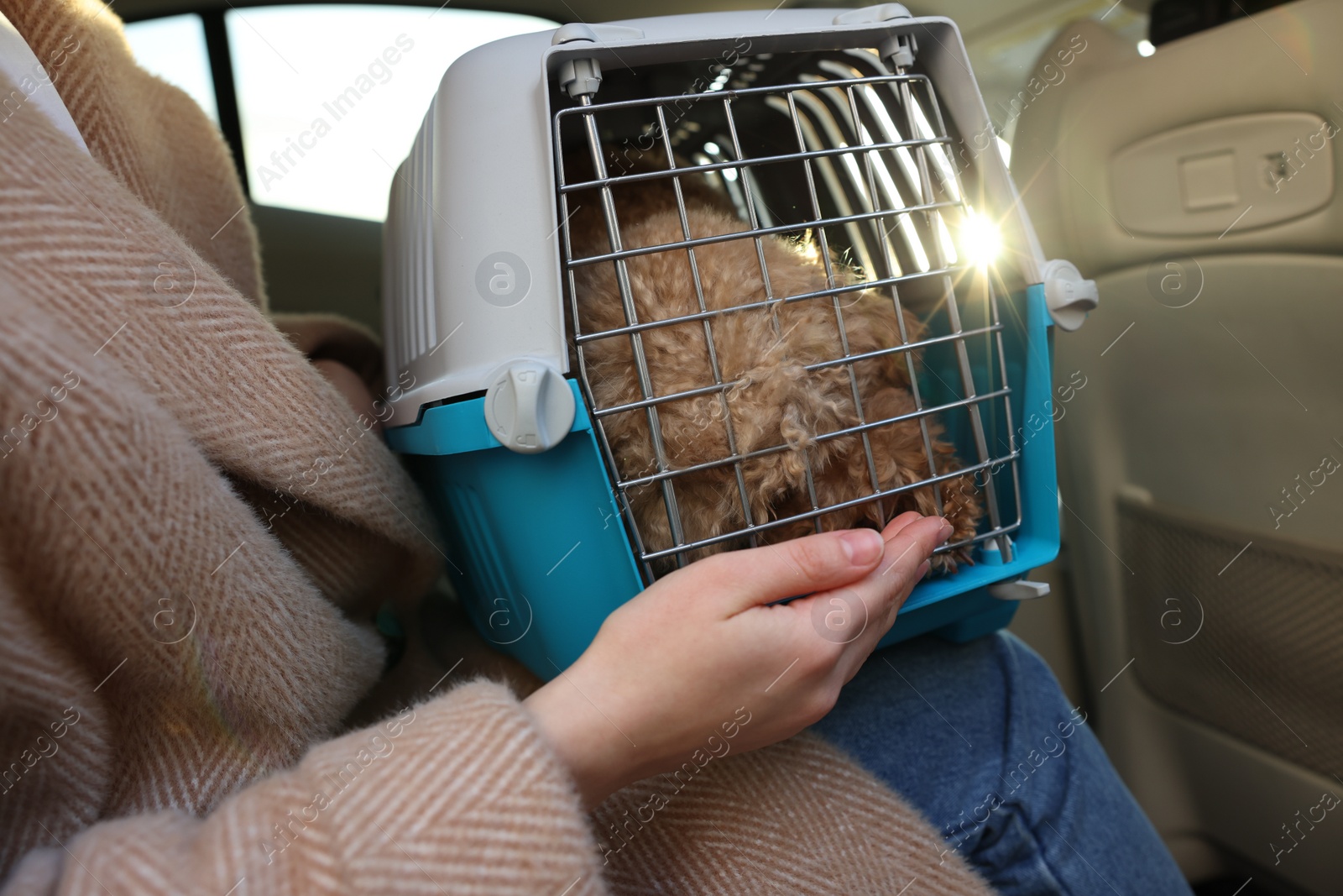 Photo of Woman with pet carrier travelling with dog her by car, closeup