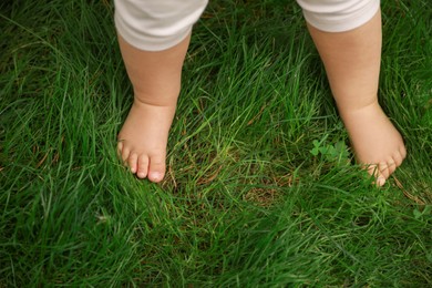 Little child walking on green grass outdoors, closeup