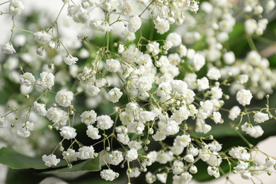 Photo of Beautiful bouquet with white flowers, closeup. Floral background