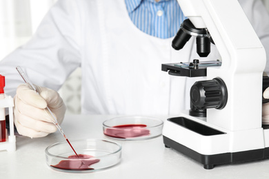 Scientist taking blood sample from Petri dish with pipette in laboratory, closeup. Virus research