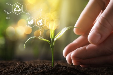 Image of Illustration of chemical formulas and woman protecting young green seedling in soil, closeup