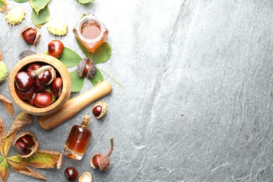 Flat lay composition with fresh horse chestnuts and extract on grey table. Space for text